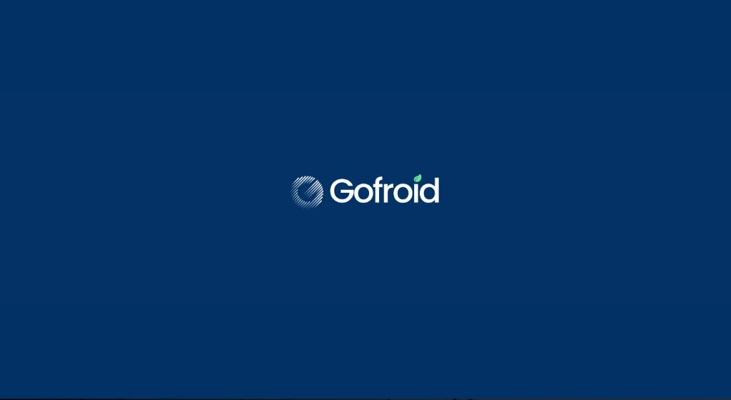 Aperçu du site GoFroid